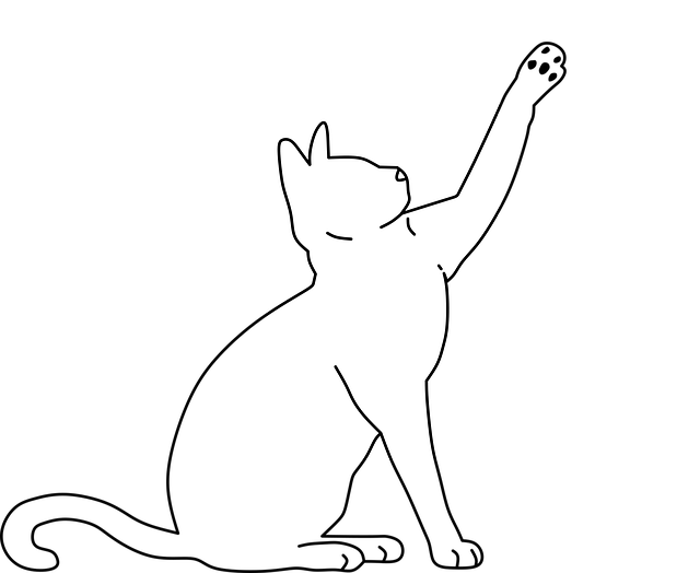 Download Cat, Pet, Line Art. Royalty-Free Vector Graphic - Pixabay