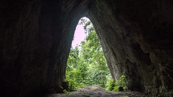 Hule, Exit, Schwaben, Dumt, Skog, Trær