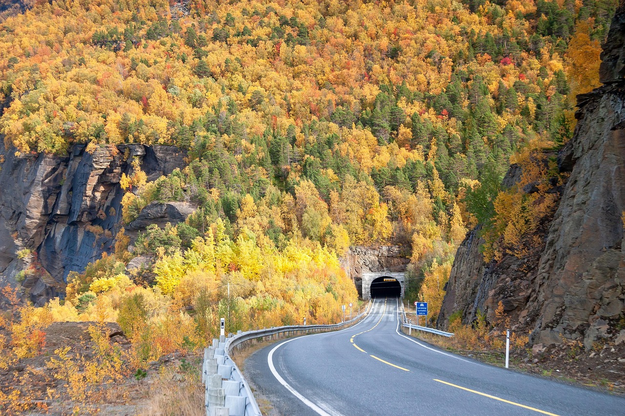 Road Tunnel - free online jigsaw puzzle photo