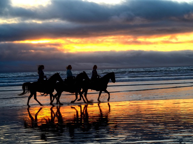 Free Sunset Sea photo and picture