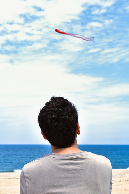 Free Kite Red Kite photo and picture