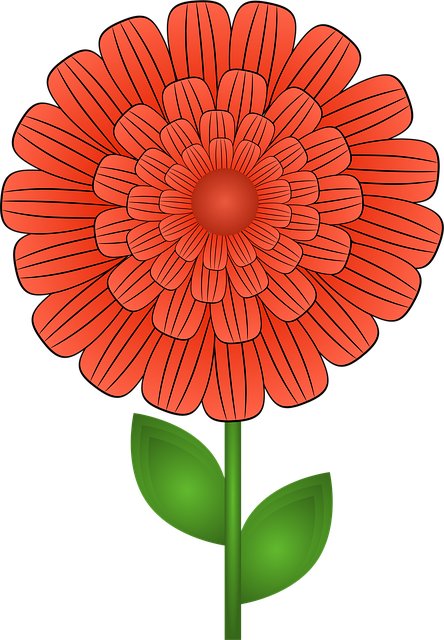 Blomst, Oransje Blomst, Blomst Bakgrunn