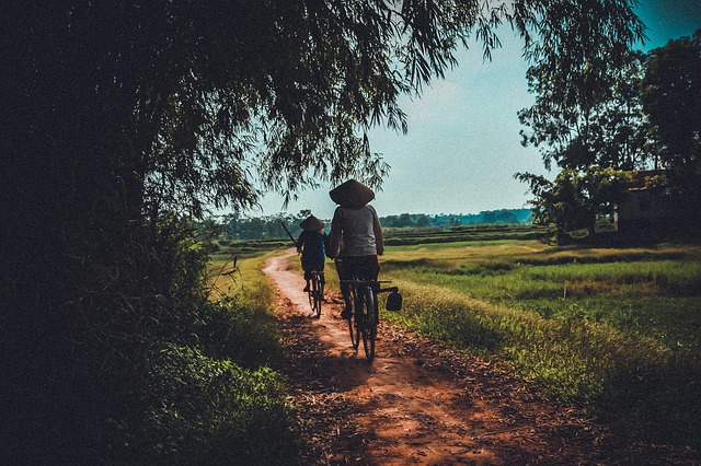 Free Tree Old People photo and picture
