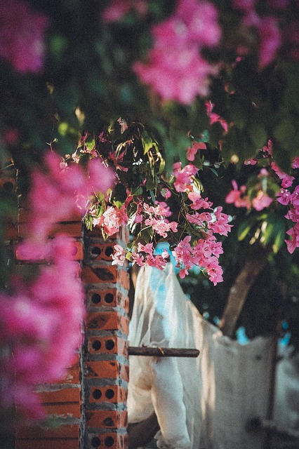 Free Flower Wall photo and picture