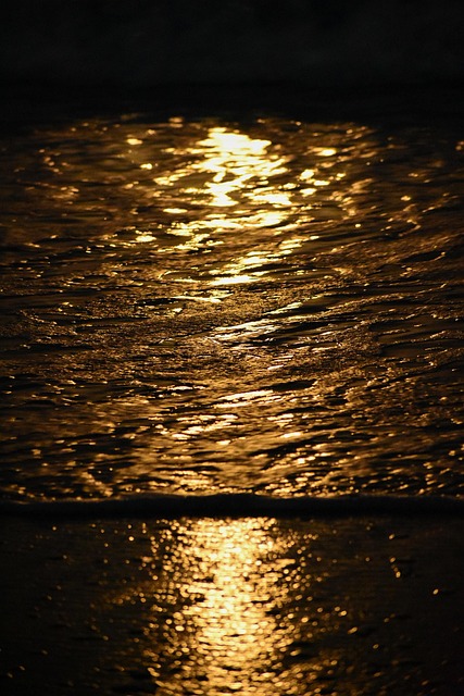 Free Sea Beach photo and picture