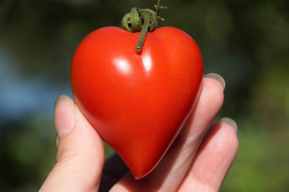 tomato-7338943_960_720.jpg