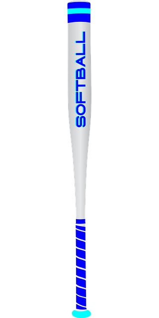 Free softball bat field vector