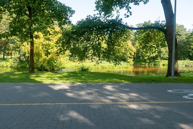 Free Way Lake photo and picture