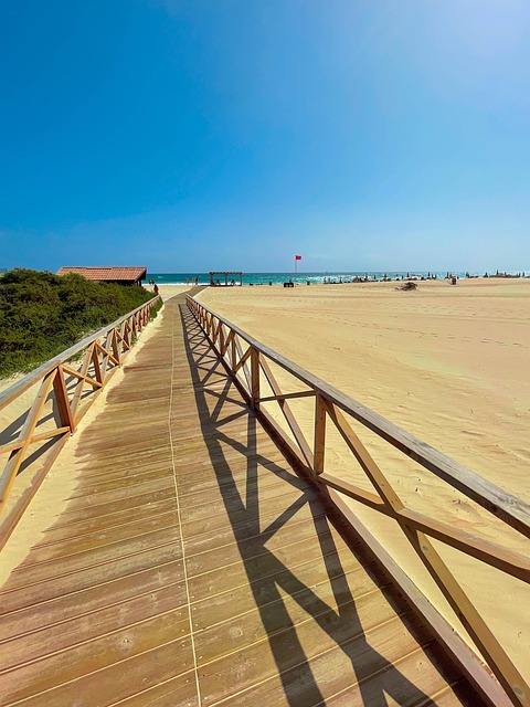 Free Ocean Beach photo and picture