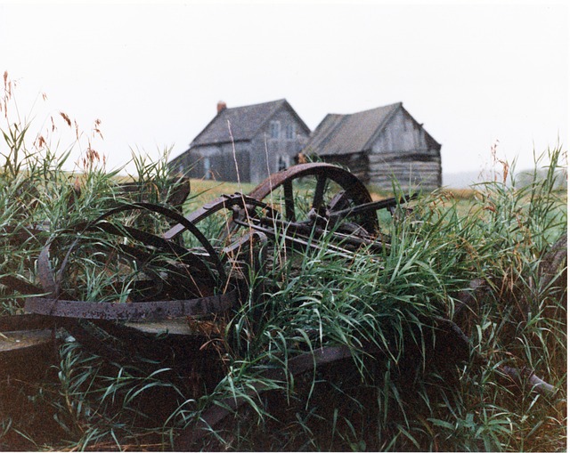 Free Agriculture Old Farm photo and picture