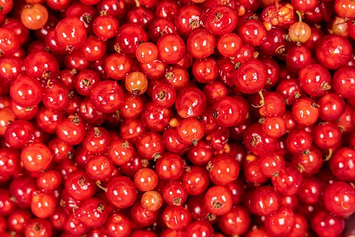 Free Currants Desktop Backgrounds photo and picture