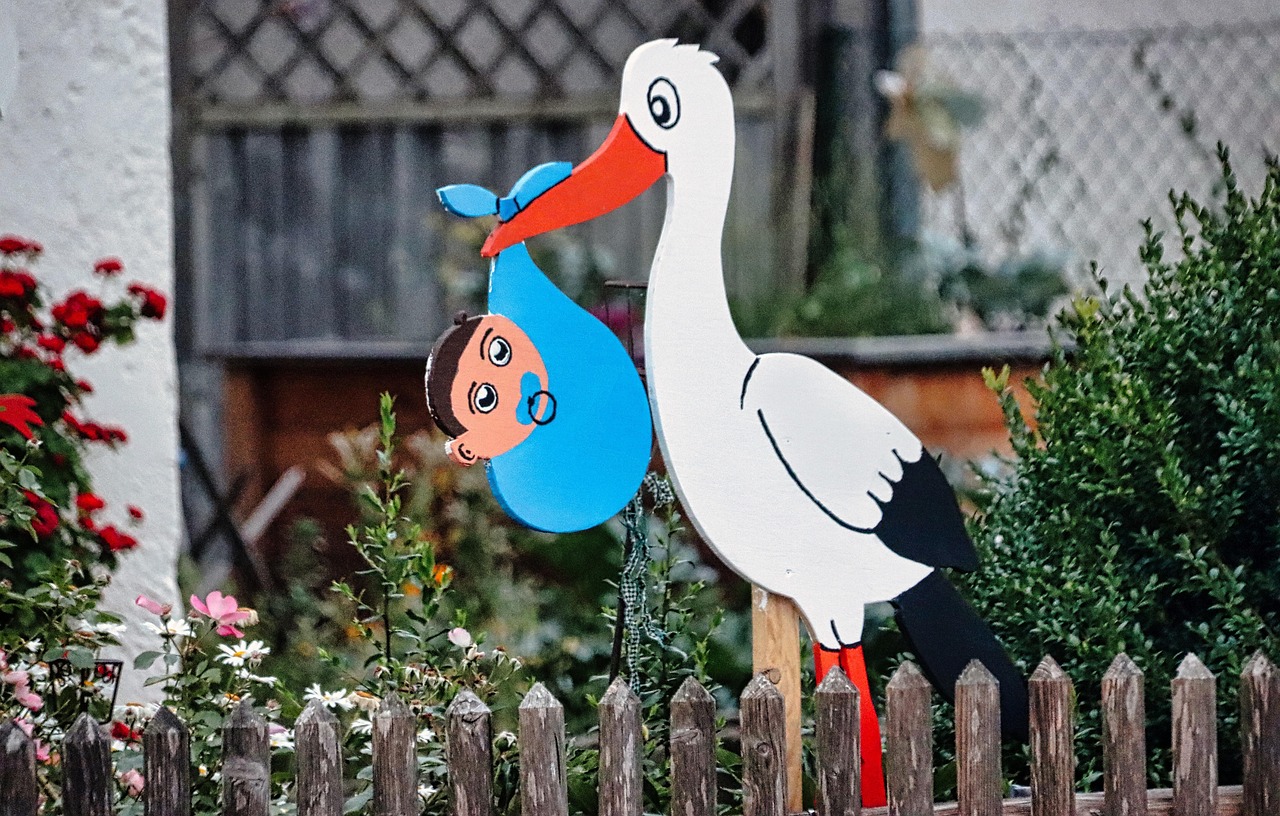 Offspring Image Examples Birth Stork Offspring - Free photo on Pixabay