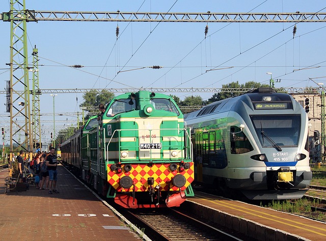 Free Hungary Train photo and picture
