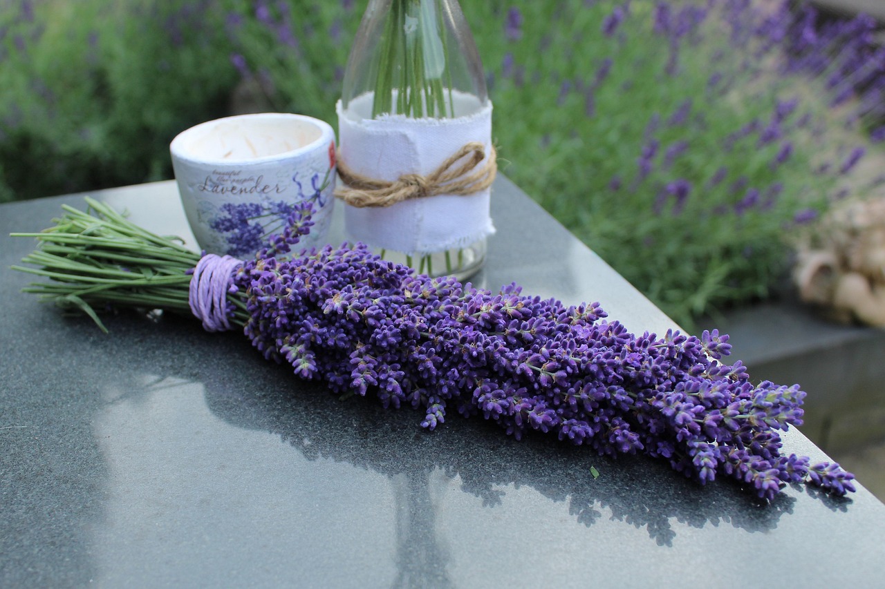 lavender-7341596_1280.jpg