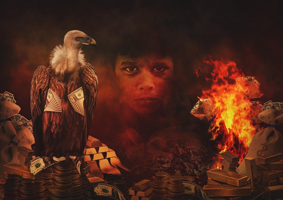 vulture-7342174_960_720.jpg