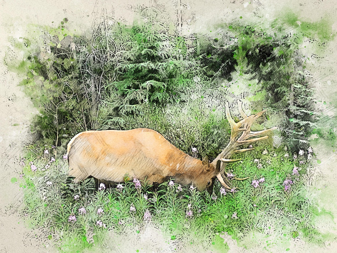 エルク 動物 野生動物 - Pixabayの無料画像 - Pixabay
