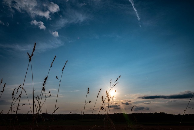 Free Sunset Landscape photo and picture