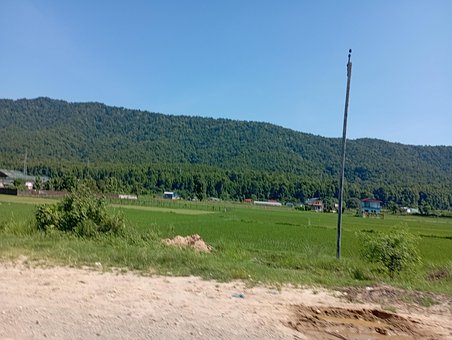 Woud, Boom, Land, Lucht, Berg, Hill