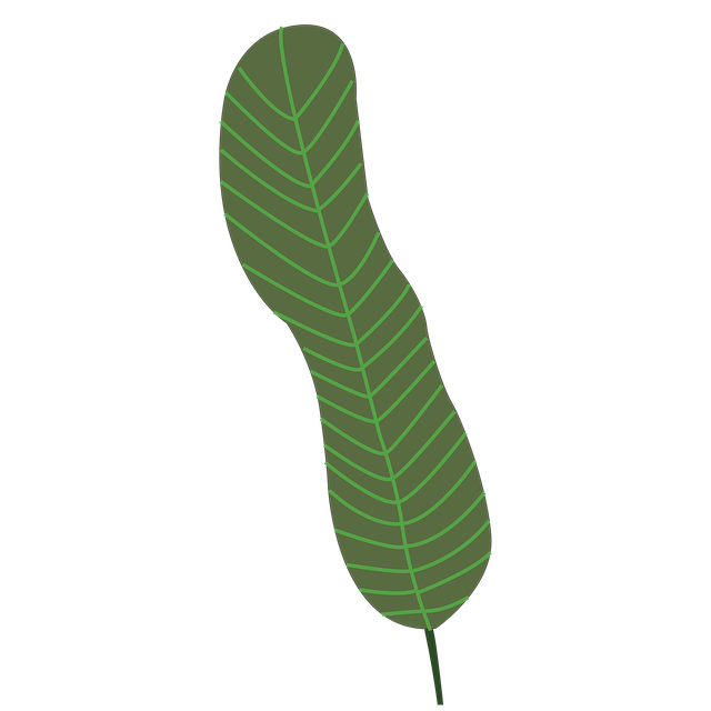 Free Leaf Nature illustration and picture