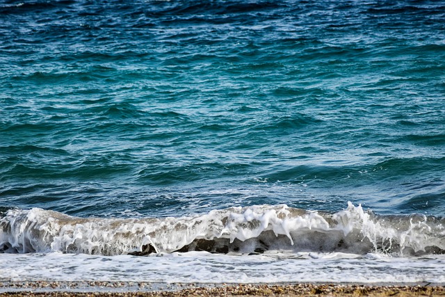 Free Ocean Sea photo and picture