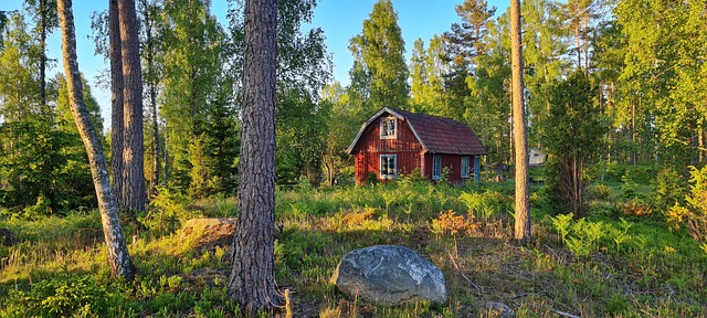Swedish jigsaw puzzle