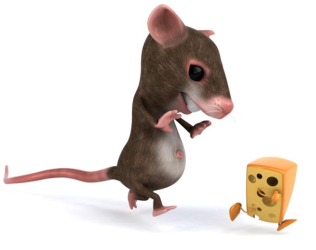 Gamba Mouse Mouse Kartun Keju - Gambar gratis di Pixabay - Pixabay