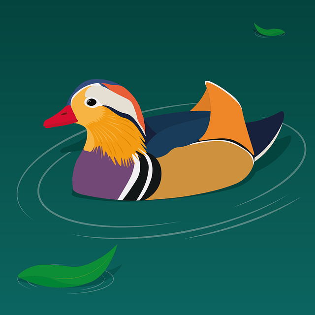 Free duck mandarin duck birds illustration