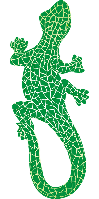 Free saurian lizard chameleon vector