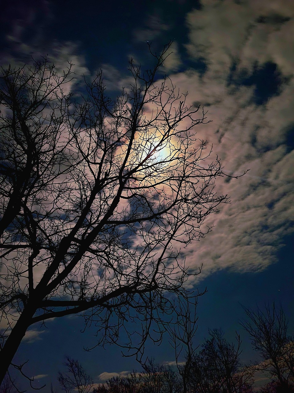 月 夜晚 多云 - Pixabay上的免费照片