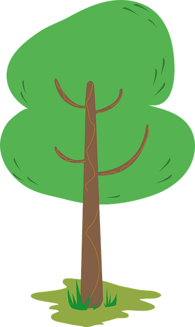 Free tree orchard jungle vector
