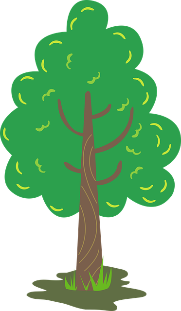 Free tree orchard jungle illustration