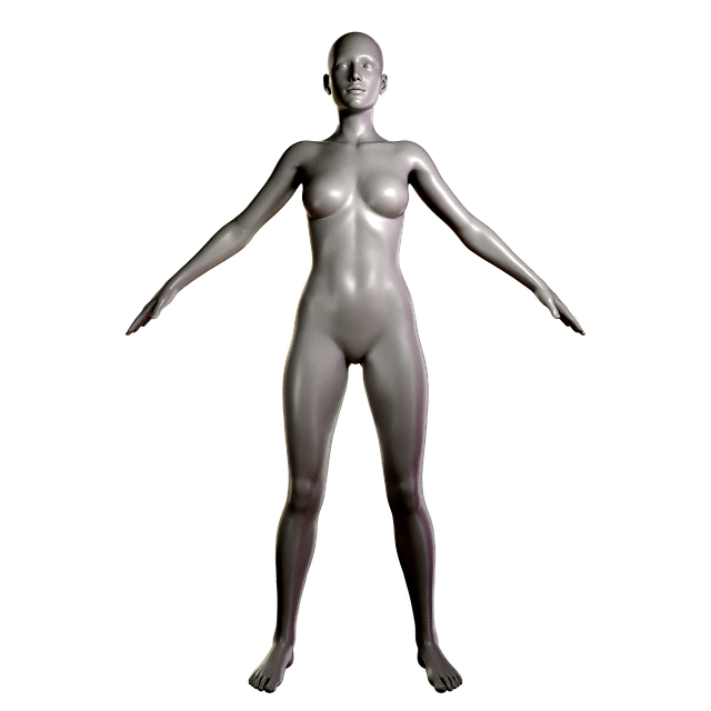 Free female body dummy woman illustration