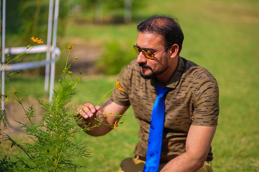 Free Asian Man Flowers photo and picture