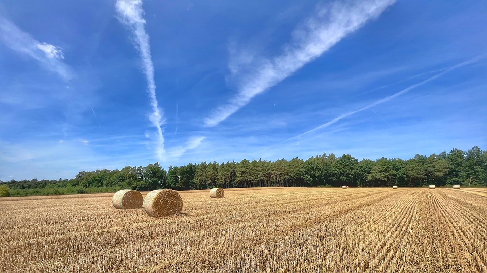 Straw Bales Harvest Nature Free photo on Pixabay