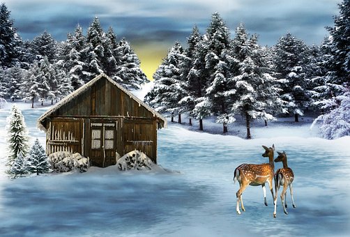 Hütte, Winter, Landschaft, Natur