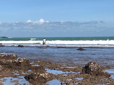 Free Beach Seashore photo and picture