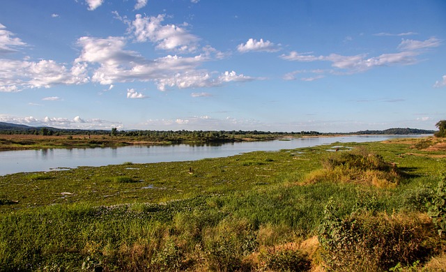 Leito Rio Rio Relva Natureza Leito Do - Foto gratuita no Pixabay - Pixabay