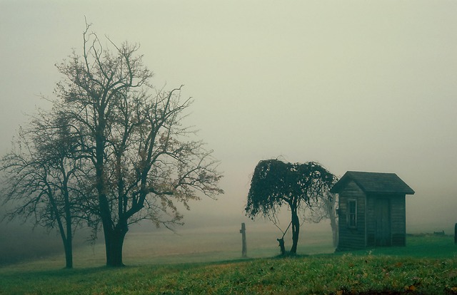 Baracke, Natur, Hütte, Nebel, Landschaft