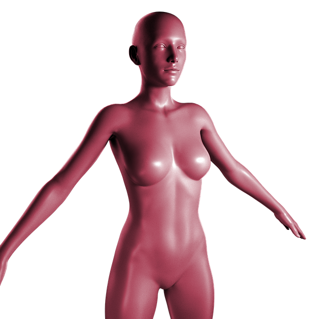 Free woman mannequin statue illustration