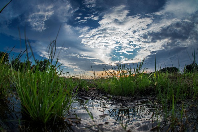 Free Sky Nature photo and picture