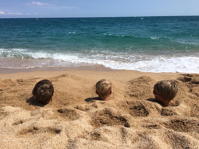 Free Sea Beach photo and picture