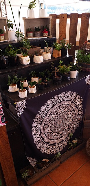 Free Plants Vase photo and picture