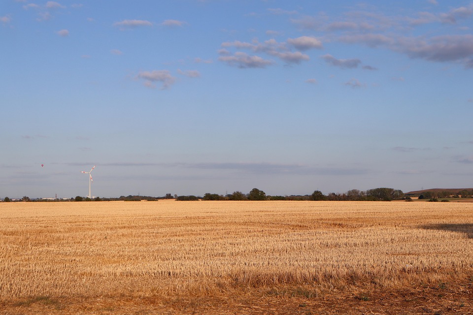 Spacious Field Field Nature Sky - Free photo on Pixabay - Pixabay
