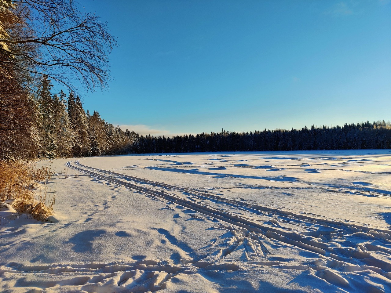 冬天 雪 冰 - Pixabay上的免费照片 - Pixabay