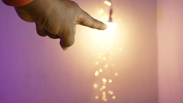 Free Light Bulb photo and picture