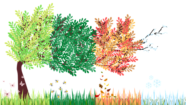 Free seasons spring summer illustration