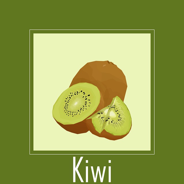 Free fruit kiwi tropical fruit illustration
