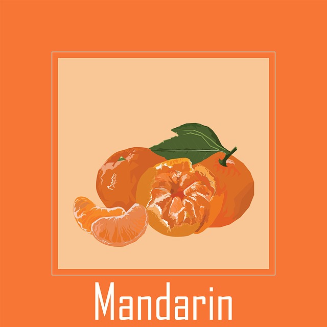 Free mandarin orange mandarin orange illustration
