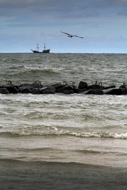 Free Sea Ocean photo and picture