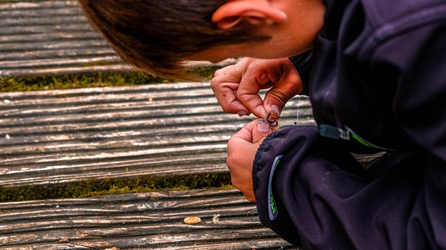 Free Child Fishing photo and picture